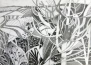 Tree in the garden  Hope Cove  