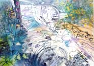 Waterfall, Gorpley Clough Woods,  